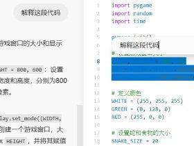 ChatGPT重磅发布Canvas，手把手教你如何使用Canvas (代码篇)